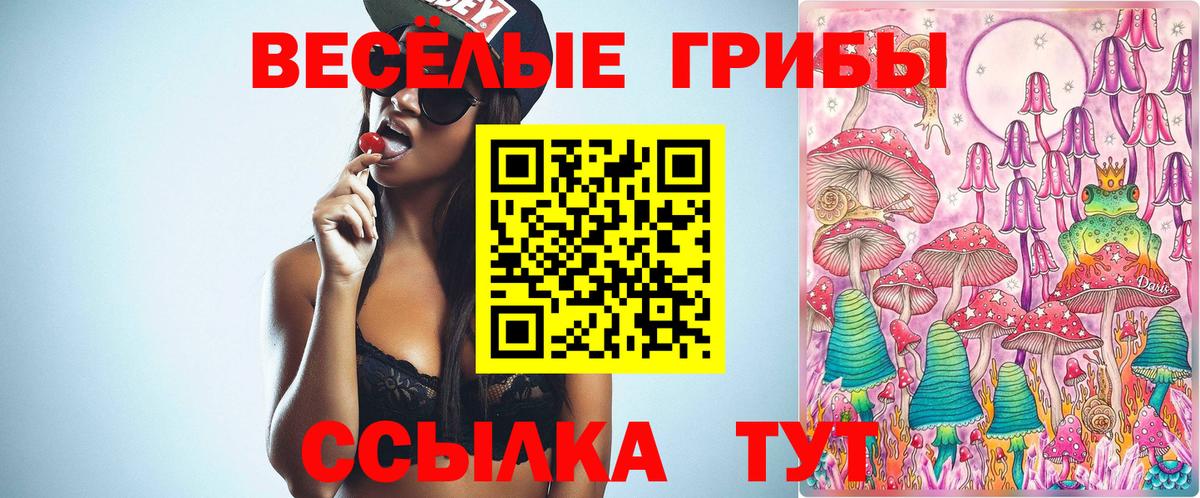 Наро-Фоминск  Галлюциногенные грибы GOLDEN TEACHER  Галлюциногенные грибы прущие грибы  Вход с VPN 